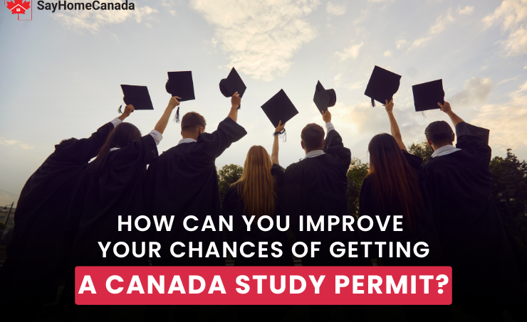 How to Improve Your Chances of Getting a Canada Study Permit